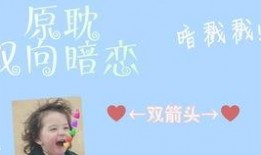 上位by萝卜兔子简介,by萝卜兔子，揭秘职场晋升之路