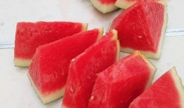 朝阳吃瓜群众网 吃瓜--大赛每日芋圆呀呀吃瓜,吃瓜大赛中的甜蜜见证